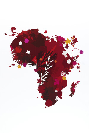 RED Africa