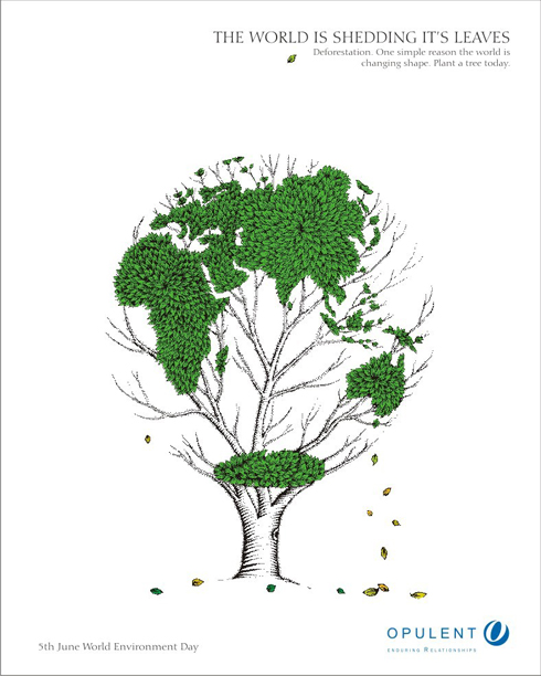 Shedding Leaves