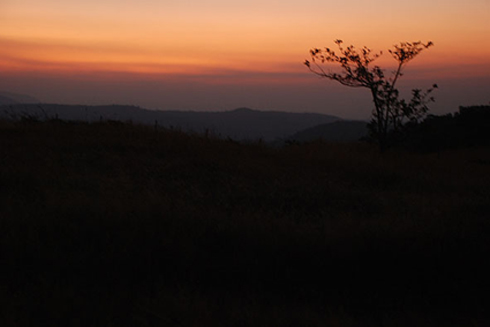 dawn