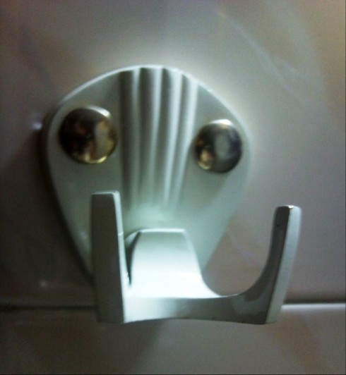 BoarHook