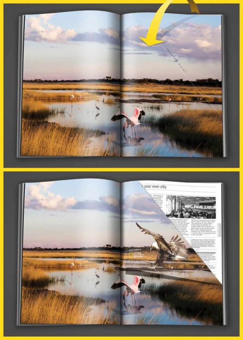 national-geographic-abu-dhabi-wild1