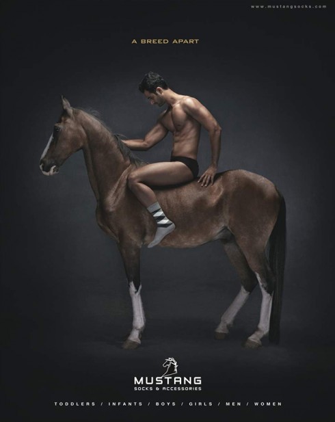 Mustang_02