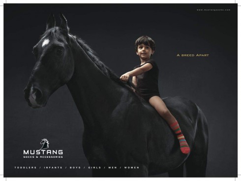 Mustang_03