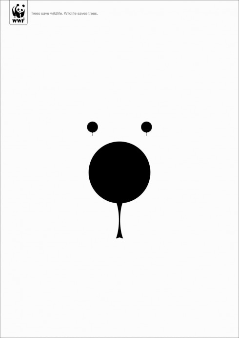 wwfbear