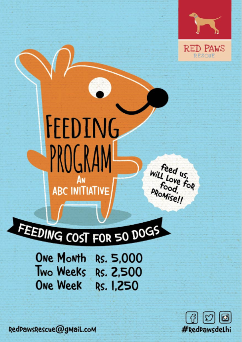 11- Red Paws Rescue flyer