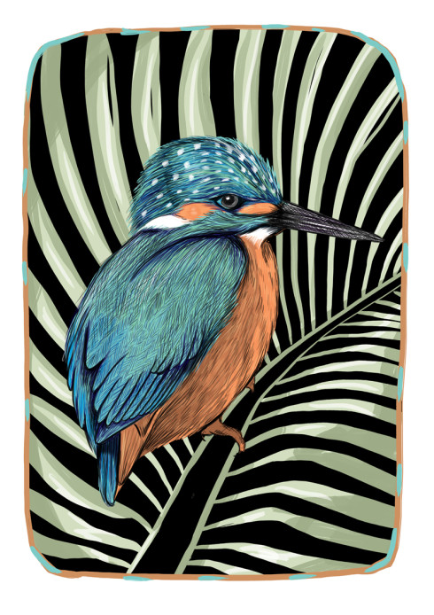 DANGERCAT_KINGFISHER