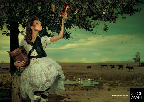 Fashion Harvest