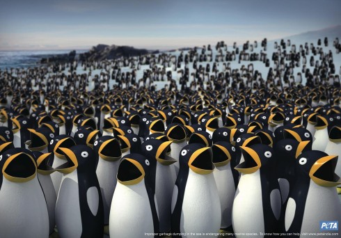 PETA peguin ad