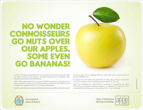 Govt Jammu and Kashmir ad by Blacksheep.Works